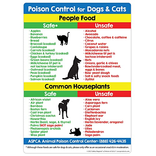 מזון וצמחים רעילים לחתולים וכלבים מגנט למקרר - בקרת רעלים לחיות מחמד - על ידי מגנטים בטיחותיים - 5 על 7 אינץ'.